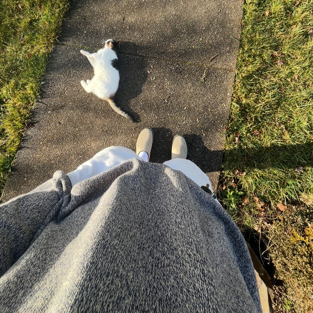 Meet your Posher, Porter